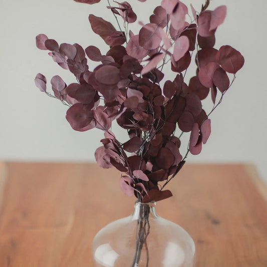 Deep Red Eucalyptus Bundle